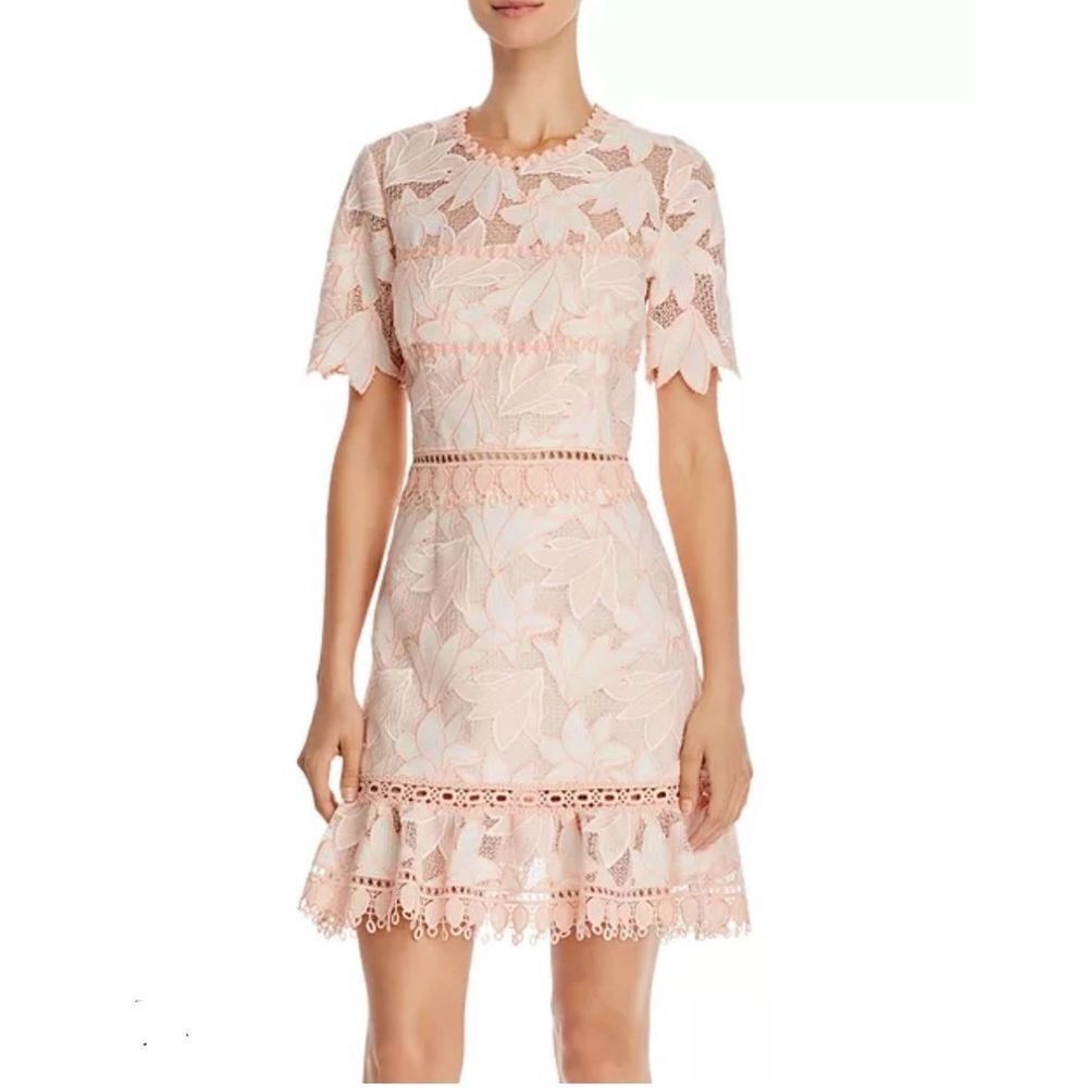 Saylor Birgit Floral Lace Mini Dress Blush Size S - Picture 1 of 12